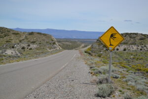 Informan la restricción vehicular en rutas de Santa Cruz