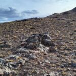 Astra inicia exploración en La Manchuria