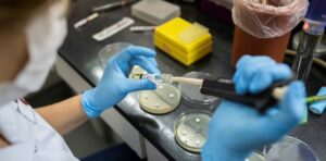 Confirman que la supergripe H3N2 llegó a la Argentina: hay dos adolescentes y un niño infectados