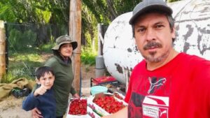 El Consejo Agrario impulsa el cultivo de frutillas en Perito Moreno