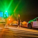 Un auto chocó contra un guanaco cerca de Perito Moreno y el conductor salió ileso