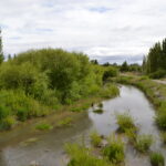 Perito Moreno aplicó a un programa nacional de turismo después de 17 años