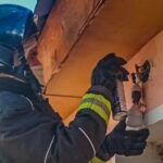 Bomberos intervinieron por un enjambre de avispas en una vivienda