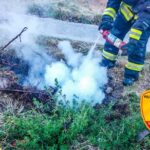 Enjambre de abejas en la vía pública asustó a vecinos