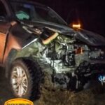 Chocó contra un guanaco y despistó cerca de Perito Moreno